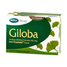 GINKGO BILOBA CAPS PK (MEGA)